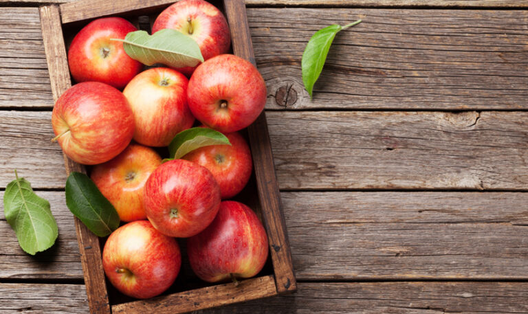La Manzana, la primera cooperativa en Chile que impulsa el consumo responsable La Manzana, la primera cooperativa en Chile que impulsa el consumo responsable