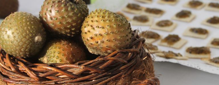 La rumpa, el desconocido fruto endémico del norte de Chile que se comercializa en productos gourmet
