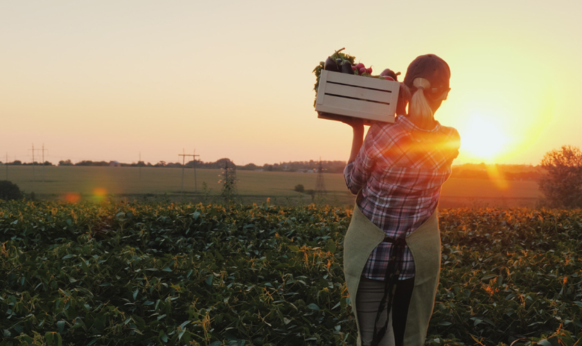 Ruralcoop, la plataforma que incentiva el desarrollo del cooperativismo rural en Chile