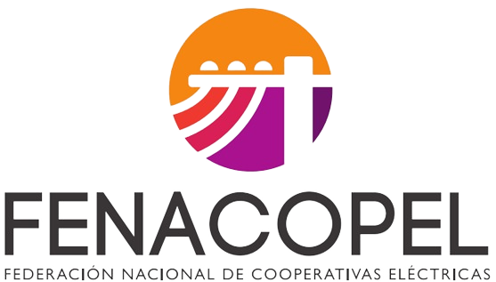 FENACOPEL participa el programa Puente Energético del canal de televisión La Red