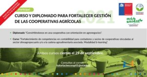Curso “Fortalecimiento de competencias en contabilidad para contadores y socios de cooperativas vinculadas al sector silvoagropecuario y/o a la cadena agroalimentaria asociada”