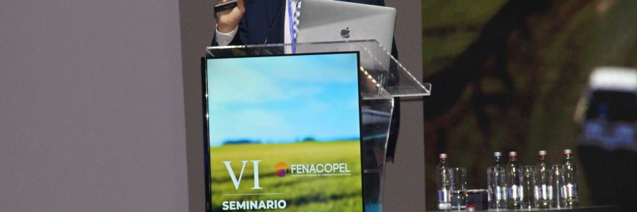 Tarifa Única Nacional, desafíos regulatorios para la distribución y futuro del sector eléctrico marcaron el VI Seminario del Sector Cooperativo Eléctrico 2024 en Concepción