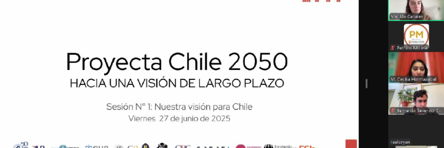 FENACOPEL se hace presente en diversas mesas de trabajo sectorial en el marco de Proyecta Chile 2025