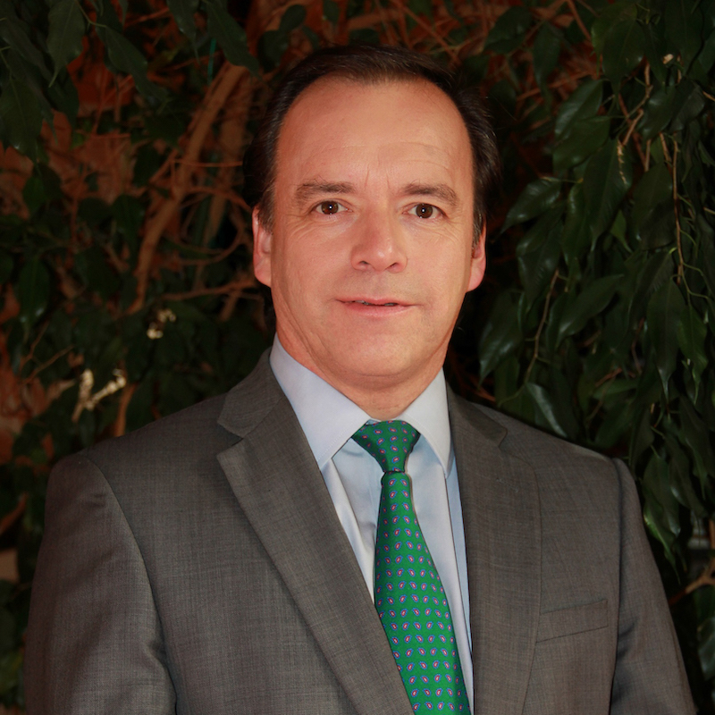 Director - Gustavo Araya Molina