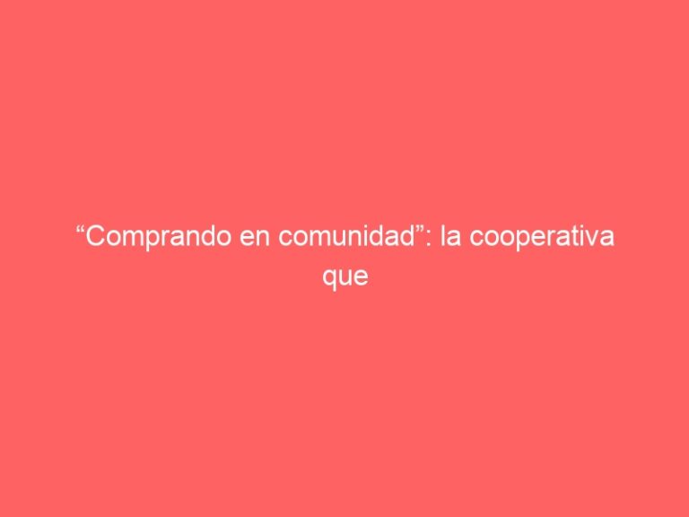 “Comprando en comunidad”: la cooperativa que ofrece canastas de alimentos hasta 40% más baratas a vecinos de La Pintana
