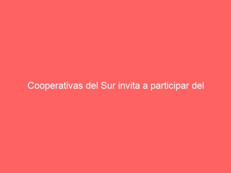 Cooperativas del Sur invita a participar del inédito concurso «Desafío Asociativo» para impulsar el emprendimiento cooperativo en la región de Los Lagos