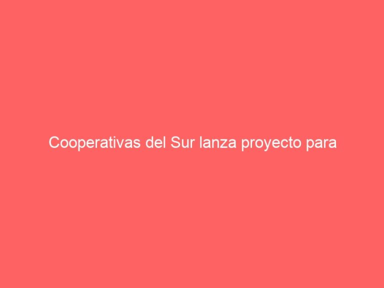 Cooperativas del Sur lanza proyecto para potenciar modelos de negocios asociativos y cooperativos en la región de Los Lagos