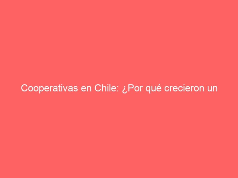 Cooperativas en Chile: ¿Por qué crecieron un 11% durante el primer semestre?