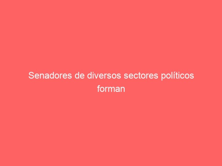 Senadores de diversos sectores políticos forman bancada para promover el modelo empresarial cooperativo chileno