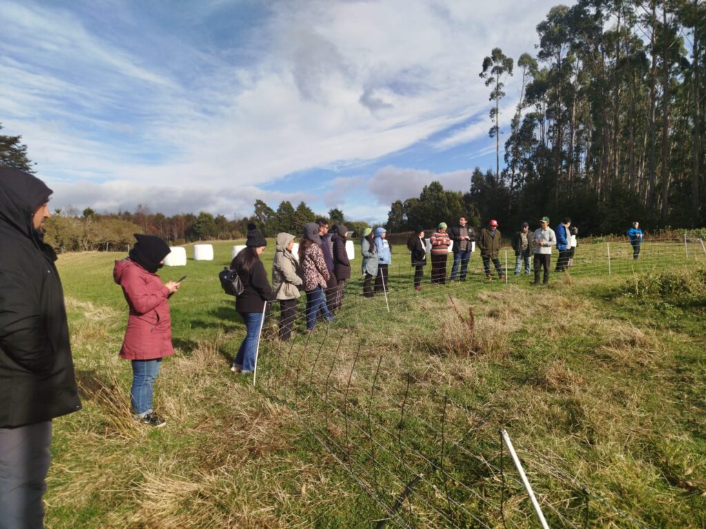 CAMPOCOOP desarrolla giras técnicas para fortalecer la asociatividad y el trabajo colaborativo de la Agricultura Familiar Campesina e Indígena 