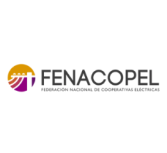 https://fenacopel.cl/